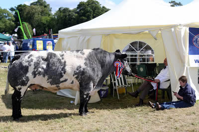 Relaxing after the Judging Reinbeck Optica owned by Zara Chestnutt, Bushmills, right checks out the NI Blue Club tent.